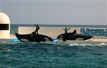 お坊ちゃまの夏休み