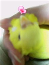 ・・・・o( _ _ )o...zzzzzZZ久しぶりに・・・・ ・・・・o( _ _ )o...zzzzzZZ久しぶりに・・・・
