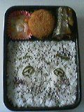 みっしり。