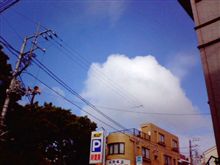 暑さ対策が追いつかない(；&#180;Д｀)