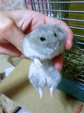 今日の一枚。