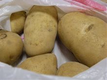 頂き物