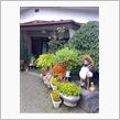 山梨旅行