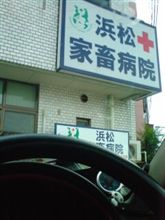 代休ですが、、、