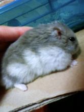 おかしい…。