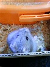 初めて…