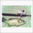 Fishing♪Fishing♪