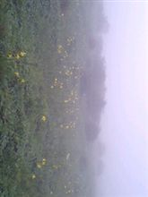久しぶりの榛名登山