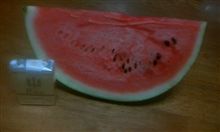 本日の夜食