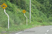 海峡ライン走行の&quot;ポイント&quot;