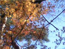 紅葉も・・・
