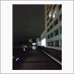 第二回目　東京に来ました！