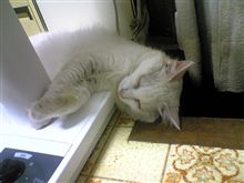 あ～あ・・・