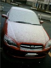 初雪