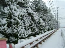 雪積りました・・・