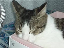 名前は・・・ 名前は・・・