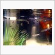 お魚！詳しい人教えて！ｗ