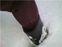 大雪のようですが・・・
