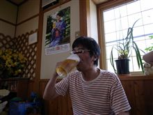 オサーン達の夏物語 オサーン達の夏物語