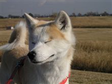 ポチッとしたら大きな写真になる方法