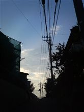 暑かったり、涼しかったり。。。