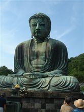 東京で見た生き物を紹介します
