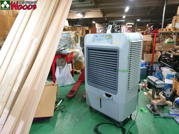 最大89％オフ！ isukaサンコー ECO 冷風機 25EX50 電源周波数 50HZ タイプ オートスイング 広範囲 消費電力が低い 節電 法人  個人事業主様限定