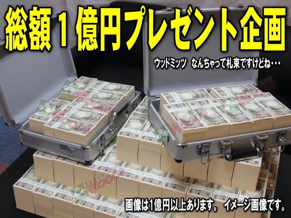 1億円 プレゼント企画 一千万円を10名様に なんちゃって札束ね ウッドミッツのブログ ウッドミッツ みんカラ