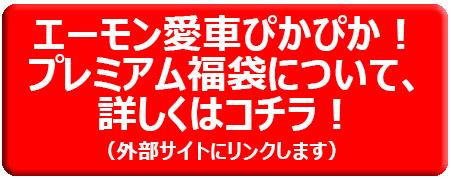 エーモン愛車ぴかぴか!プレミアム福袋について、詳しくはコチラ!<br />
