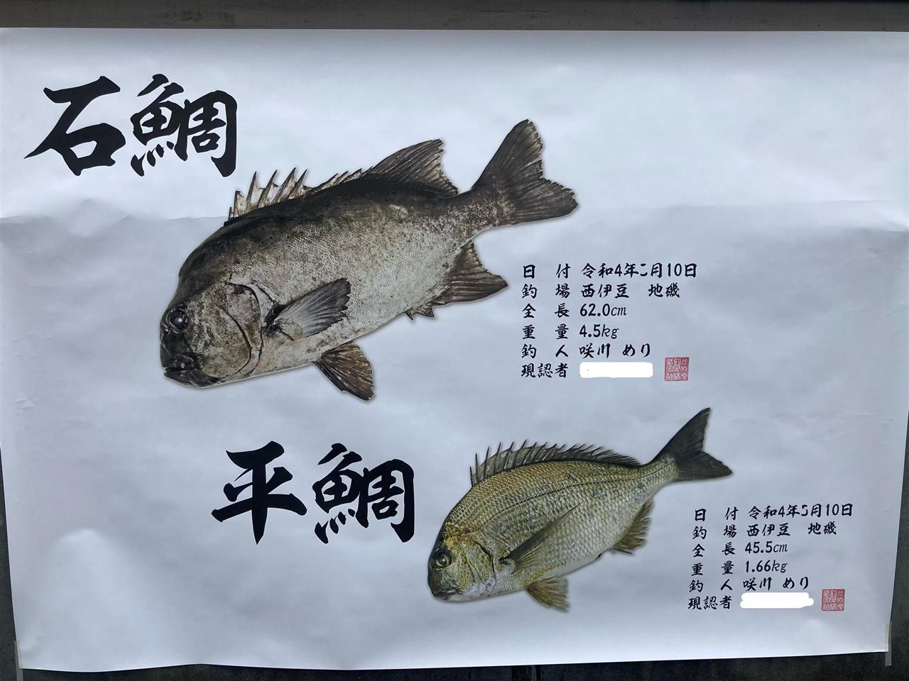 石鯛倶楽部 c11-000-01-003_b.jpg