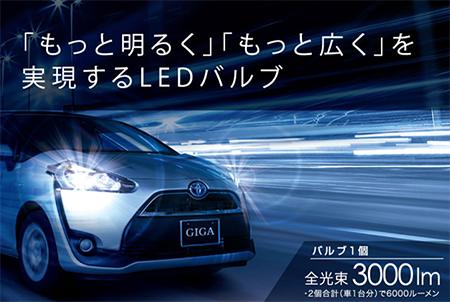 LEDヘッド&フォグバルブS6000