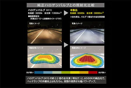 LEDヘッド&フォグバルブS6000