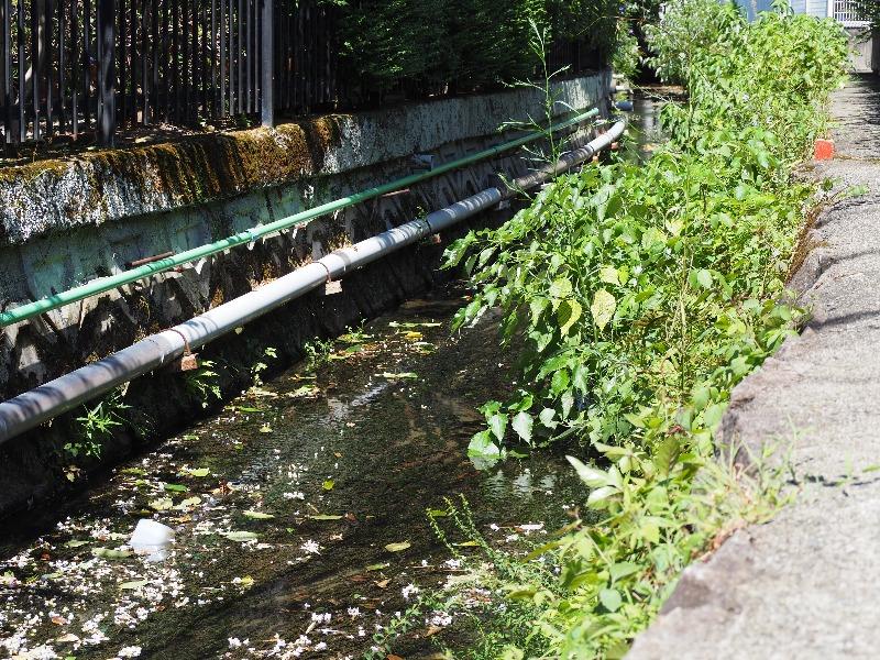 佐賀 与賀 水路