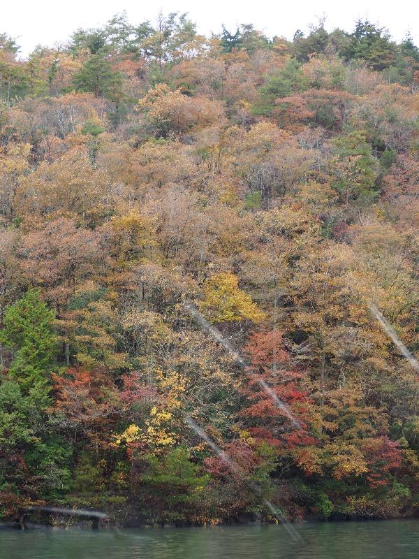 恵那峡 恵那峡めぐり 紅葉