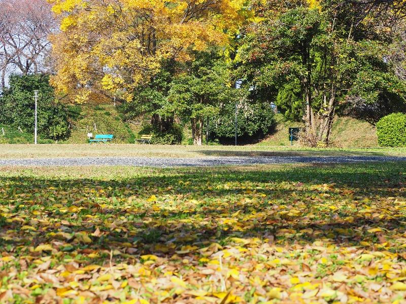 加納公園