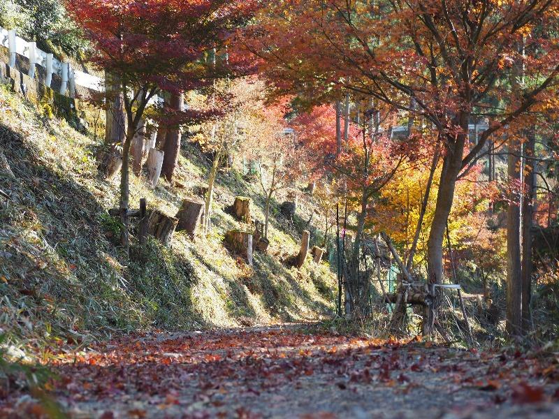 多良峡(2)