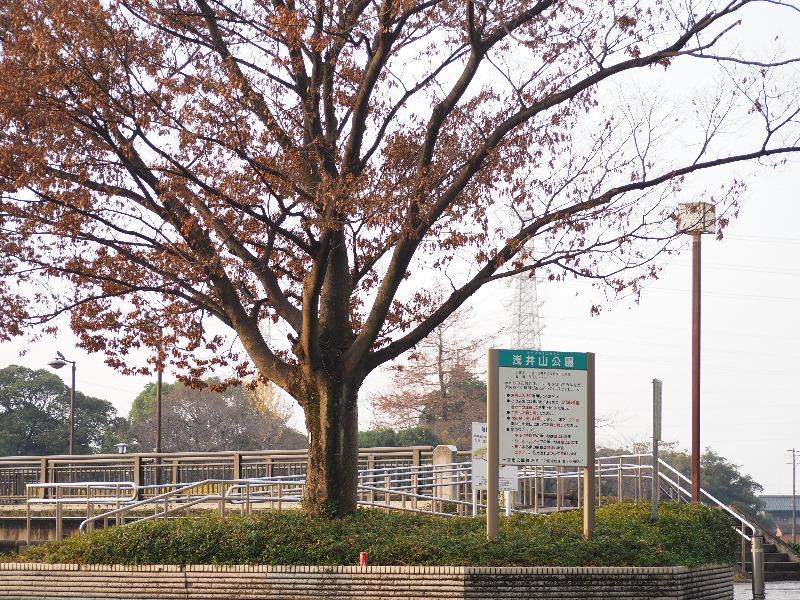 浅井山公園
