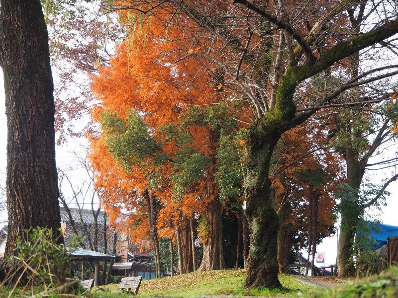 浅井山公園