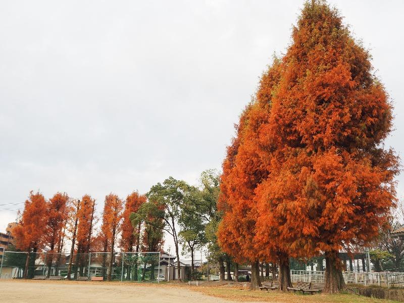 尾西公園