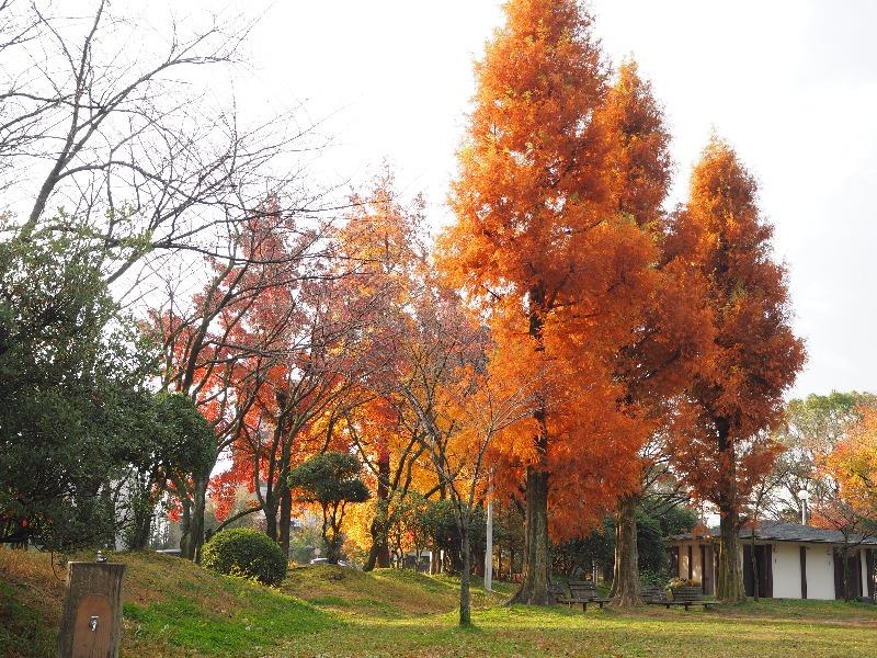 尾西公園
