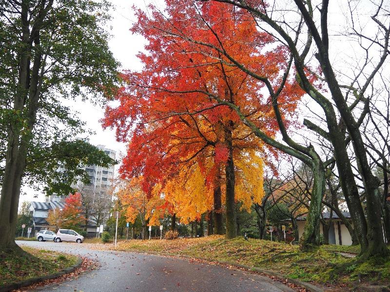 尾西公園