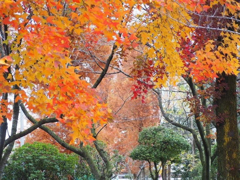 尾西公園