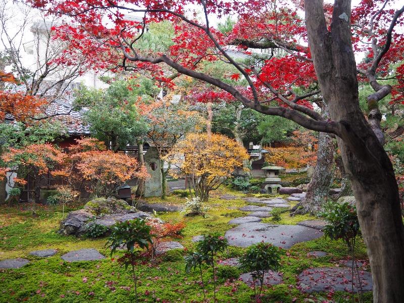 尾西歴史民俗資料館別館 旧林家住宅 日本庭園