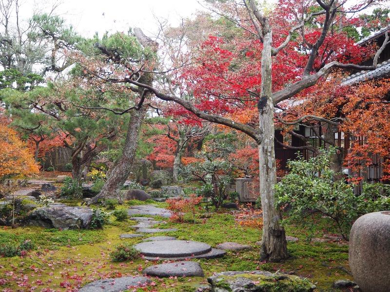 尾西歴史民俗資料館別館 旧林家住宅 日本庭園