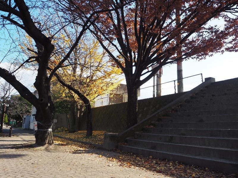 九品地公園
