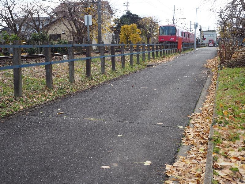 名鉄尾西線 山崎駅 そぶえイチョウ 黄葉まつり