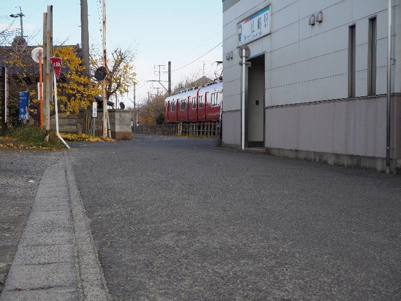 名鉄尾西線 山崎駅 そぶえイチョウ 黄葉まつり