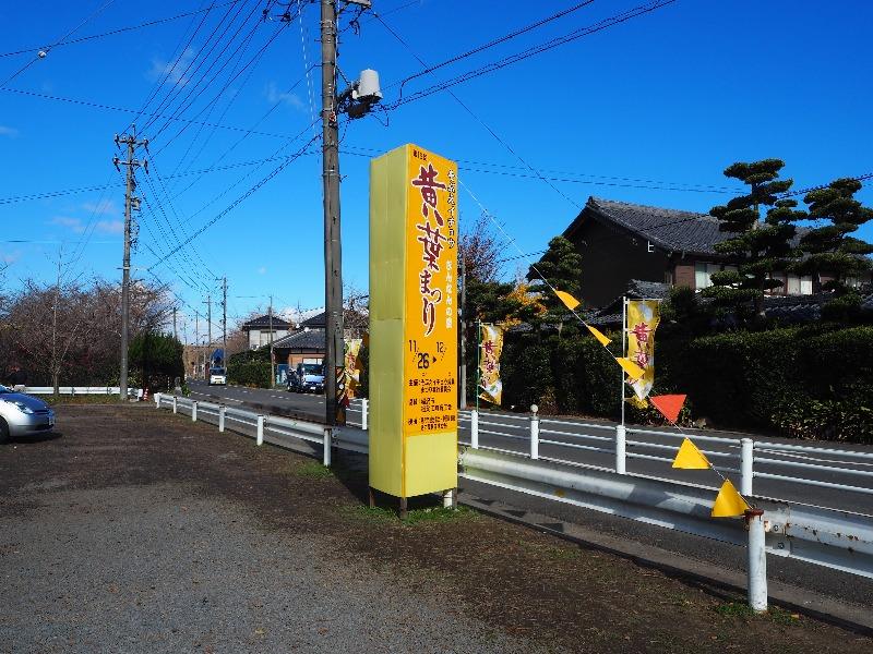 名鉄尾西線 山崎駅 そぶえイチョウ 黄葉まつり