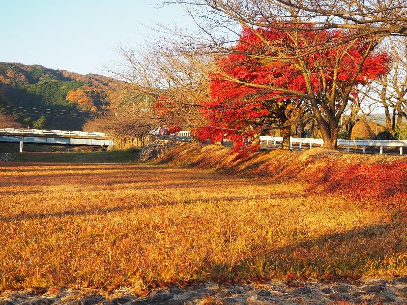羽根谷だんだん公園
