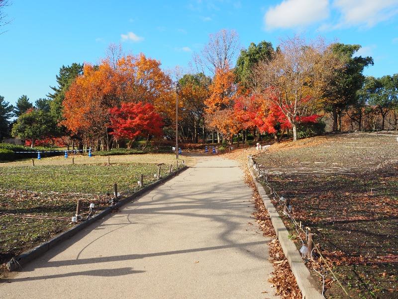 木曽三川公園センター